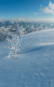 清晨冬季平静的山地景观坡上有美丽的霜冻树木和雪地滑乌克兰喀尔巴阡山图片