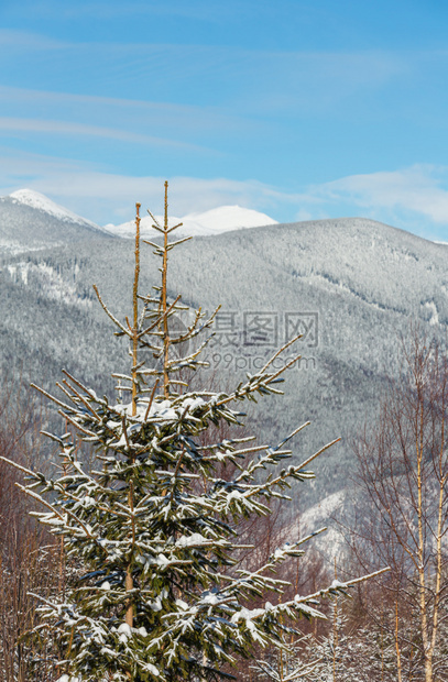 照片来自小森林和Skupova山高坡乌克兰最高霍夫纳区Chonohora山脊和PipIvan山峰喀尔巴阡图片