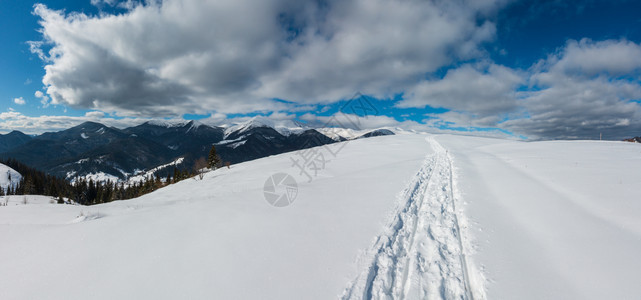 白雪覆盖的乌克兰喀尔巴阡山景象图片