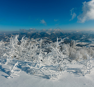 清晨冬季平静的山区风景坡乌克兰喀尔巴阡山上有美丽的霜冻树木和雪地漂流图片