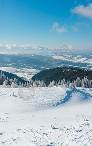 冬季平静的山地景观坡上有美丽的霜冻树木和滑雪乌克兰喀尔巴阡山图片