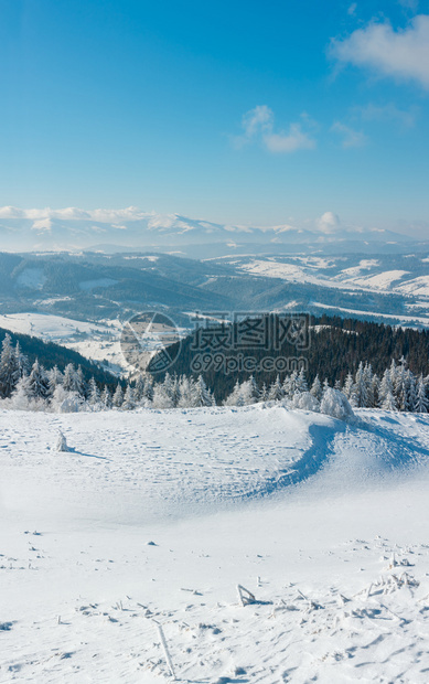 冬季平静的山地景观坡上有美丽的霜冻树木和滑雪乌克兰喀尔巴阡山图片