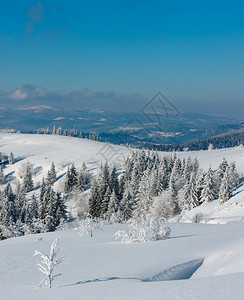 冬季平静的山地景观坡上有美丽的霜冻树木和滑雪乌克兰喀尔巴阡山图片