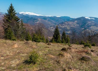 早期的喀尔巴阡山脉高原景观图片