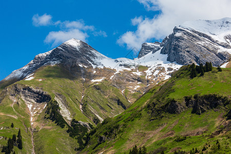 夏季阿尔卑斯山观奥地利沃思拉尔贝格图片
