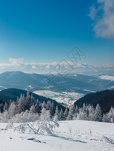 冬季平静的山地景观坡上有美丽的霜冻树木和滑雪乌克兰喀尔巴阡山图片