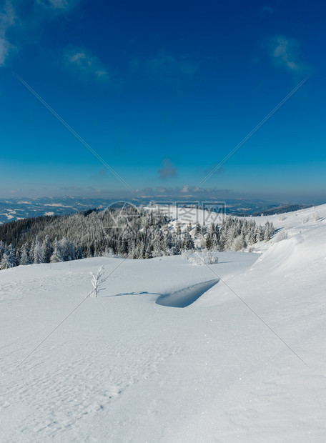 冬季平静的山区风景坡乌克兰喀尔巴阡山上有美丽的霜冻树木和雪流图片