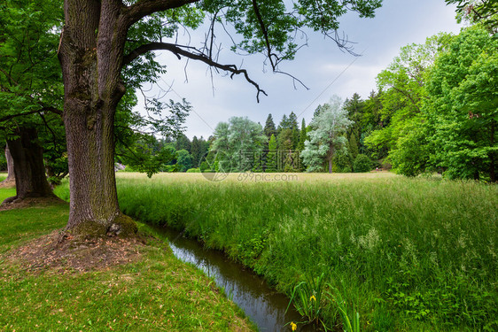 夏季城市公园草地上的水沟通道图片