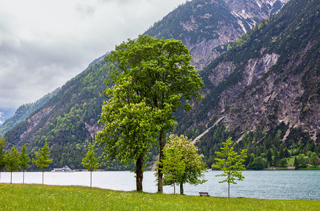 AchenseeAchen湖夏季风景海岸上有绿色草地和木凳奥利图片