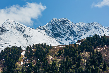 夏季阿尔卑斯山脉景观坡上有森林远在奥地利雪覆盖了岩石顶部图片