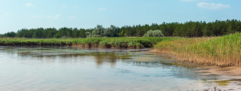 SummerPryschukove深褐色红碘湖由于含量高产生了治疗效果乌克兰基尔森地区图片