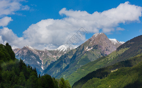 夏季阿尔卑斯山脉景观坡上有森林远在奥地利雪覆盖了岩石顶部图片