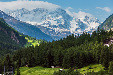 SummerAlps山脉地貌坡上有森林雪覆盖了远在瑞士的岩石顶部图片