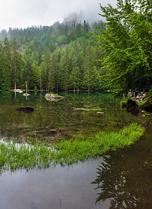 法属阿尔卑斯山的小型林湖夏日早晨图片