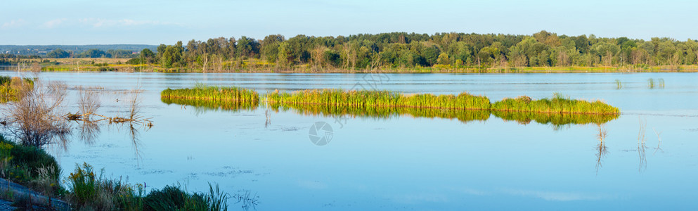 夏季湖风景与植物对水面的反射Shklo定居点附近乌克兰利沃夫州全景图片
