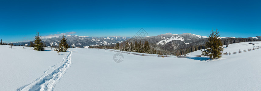 照片来自阿尔卑斯山路高足迹的冬季晨全景图片