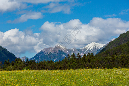 夏季阿尔卑斯山脉景观坡上有森林远在奥地利雪覆盖了岩石顶部图片