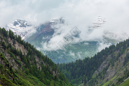 圣哥达多或特哈德山草地瑞士夏季薄雾风景瑞士图片