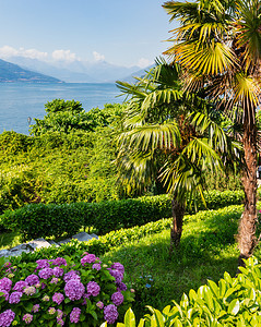 科莫湖夏季海岸风景图片