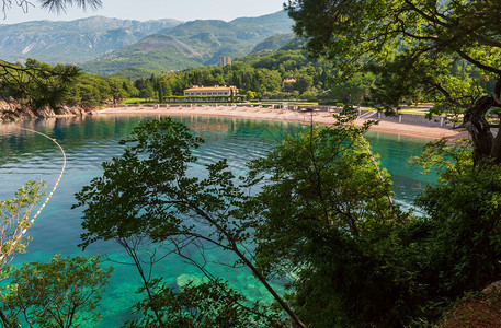 粉色沙Milocher海滩穿过树枝黑山布德瓦图片