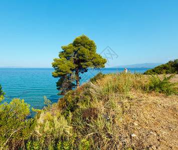 西多尼亚希腊哈尔基迪极好的爱琴海滨岸图片