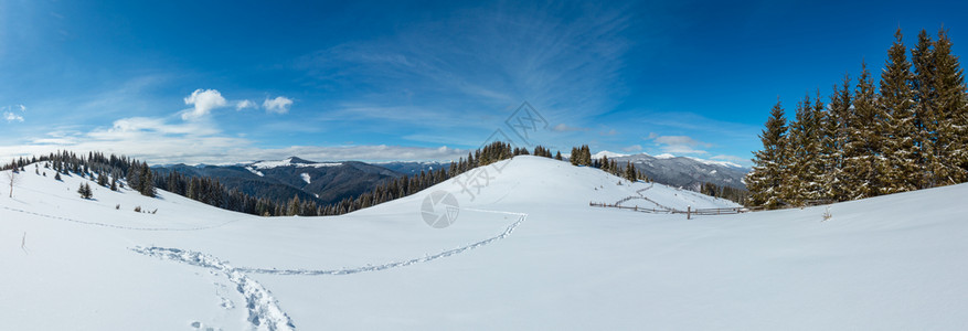 如诗如画的冬日早晨从阿尔卑斯山路俯瞰全山全景脚印清晰乌克兰斯库波瓦山坡喀尔巴阡山乔诺霍拉山脊顶部视图图片