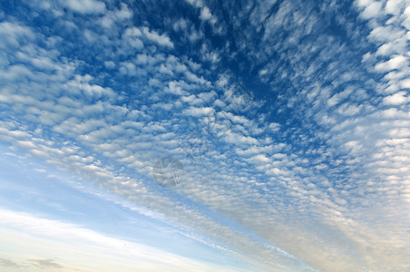 蓝夜天空有羊毛和旋翼云层背景图片