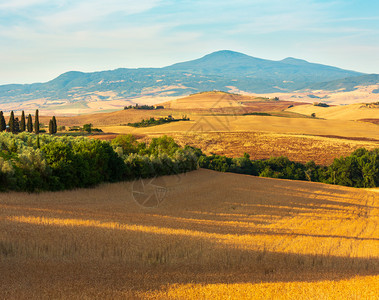 托斯卡纳夏季美丽的景色在意大利日出的乡村图片