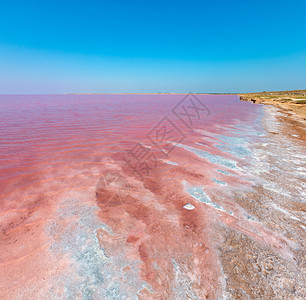 粉色极咸西瓦什湖以微藻为颜色含晶状盐沉降物又称普特里德海或罗滕乌克兰特森地区里米亚和阿拉巴特斯匹附近图片