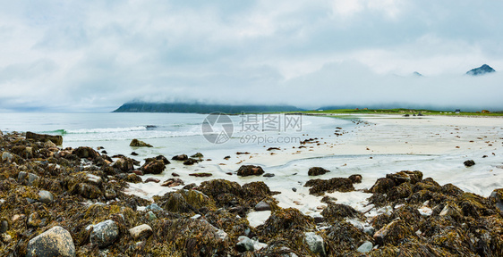 在Ramberg挪威Lofoten夏季雾和多云的海滩风景白沙和藻类在石头上飘落挪威Lofoten图片