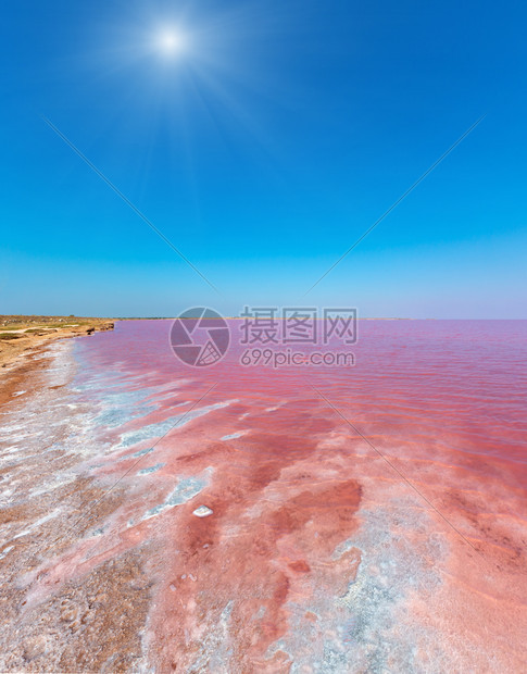 以带有晶状盐沉降物的微藻为颜色阳光粉红极咸西瓦什湖又称普特里海或罗腾乌克兰里米亚和阿拉伯石墨附近的赫尔森地区图片