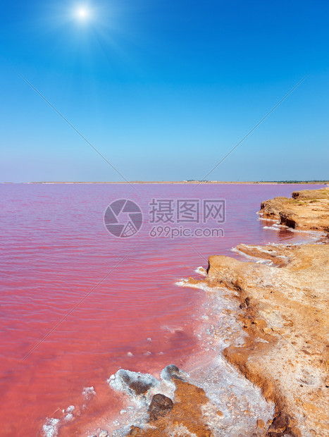 以带有晶状盐沉降物的微藻为颜色阳光粉红极咸西瓦什湖又称普特里海或罗腾乌克兰里米亚和阿拉伯石墨附近的赫尔森地区图片