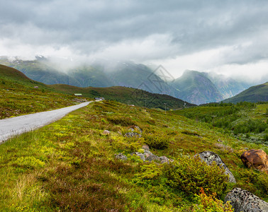 Aurlandsfjjellet挪威风景路线高地公上的夏季山地多云农村景观图片