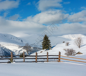 冬季清晨风景山峰顶有农田雪覆盖乌克兰喀尔巴阡山宁静和平的Dzembronya村郊区图片