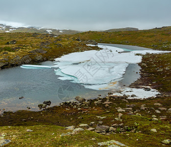 北挪威山春苔原谷和带有冰蛋糕的水坑图片