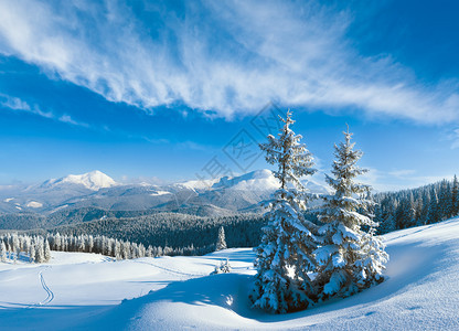 清晨冬季平静的山地风景坡上有雪花和松树喀尔巴阡山乌克兰多镜头综合图像图片