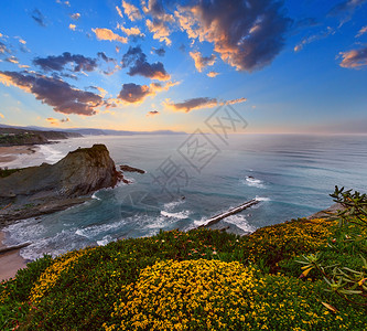 春夕海岩色岸景观前面有小沙滩和黄花西班牙阿尼亚海滩西班牙大洋图片