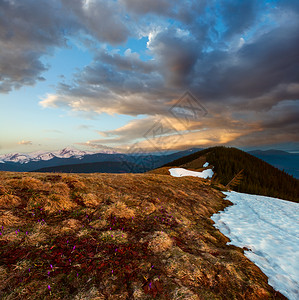 春季喀尔巴阡山脉的日落景色多彩图片