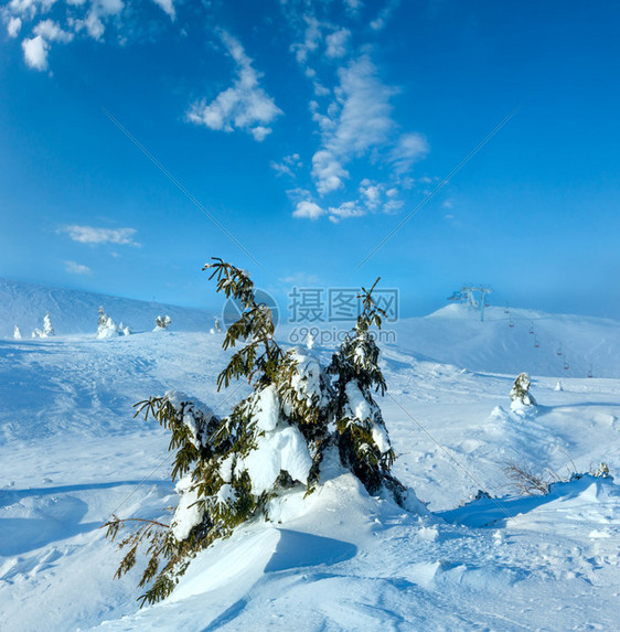 喀尔巴阡山脉多云的气候下冬季清晨山上的冰雪小木林图片