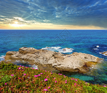 夏季开花的大西洋海岸线景观有粉红色花朵西班牙图片