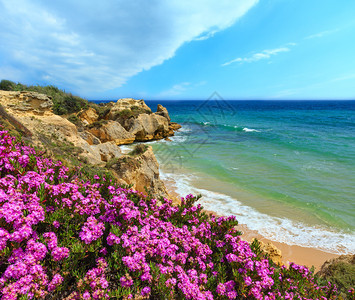 夏季开花的大西洋岩石海岸与紫色花朵和狭窄的沙滩阿尔布费拉郊区葡萄牙阿尔加夫图片