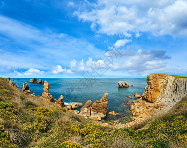 大西洋海岸风景美丽而开花前面有黄ArniaBeach附近BisayaCantabria西班牙图片