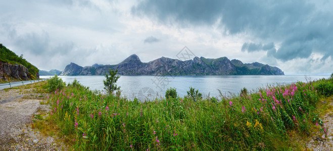 挪威前方是夏日森雅海岸全景和粉红色花朵多云的天气图片