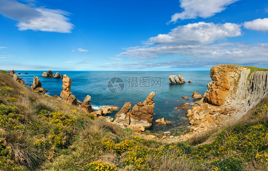 大西洋海岸风景美丽而开花前面有黄色朵ArniaBeach附近BisayaCantabria西班牙图片