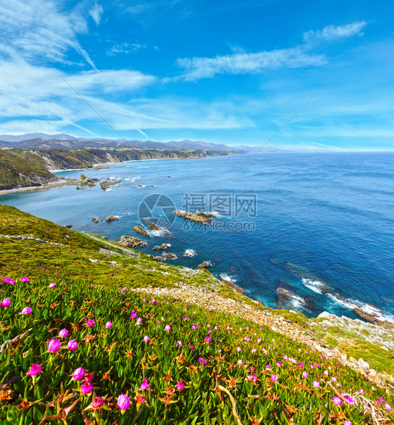 Vidio角景观夏季开花阿斯图里亚海岸西班牙库迪列罗图片