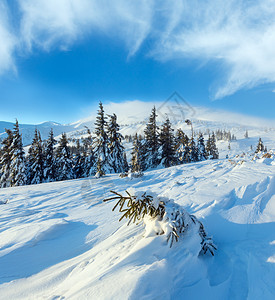 前面的斜坡上下着小风雪早上冬天山地风景与雪树喀尔巴阡山图片