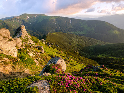 清晨夏日山坡喀尔巴阡克霍诺拉乌兰图片