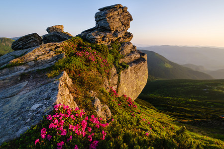 在乌克兰喀尔巴阡山坡科霍诺拉图片