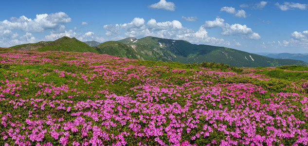 喀尔巴阡山脉闪烁的坡背景图片