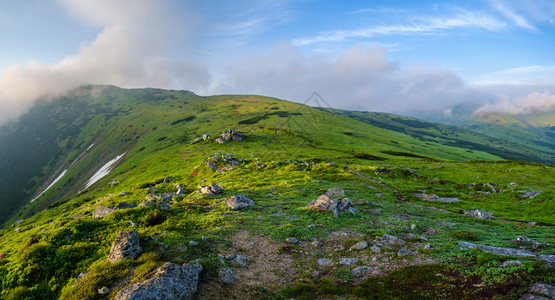 清晨雾的夏季山峰全景云雾弥漫喀尔巴阡山乌克兰图片